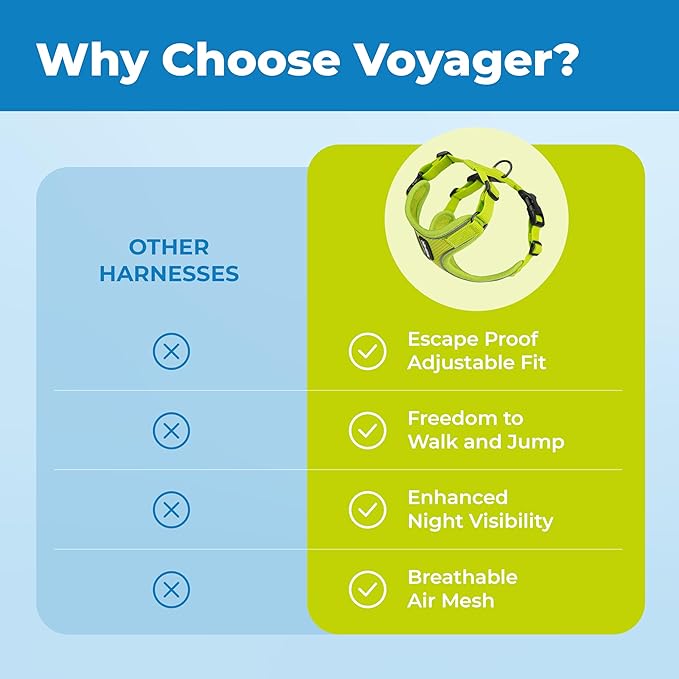 Voyager Escape-Proof Step-in Lock Cat Harness & 5ft Neoprene-Handle Leash Set All-Weather Mesh with Reflective Stitching for Small to Large Cats by Best Pet Supplies, Lime (327), XXXS