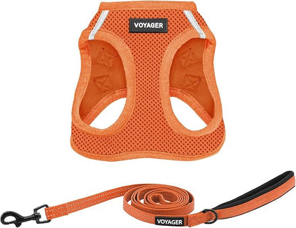 Best Pet Supplies Voyager Step-in Air All Weather Mesh Harness and Reflective Dog 5 ft Leash Combo with Neoprene Handle, for Small, Medium and Large Breed Puppies - Harness Leash Set (Orange), XS