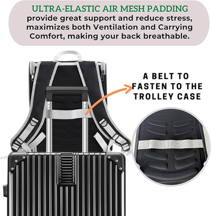 Lollimeow Cat Backpack Carrier, Ideal for Small Animals & Puppies, Airline Approved,Safe for Travel, Hiking, Vet Transport & Outdoor Use Fully Ventilated Design for Ultimate Comfort On-The-Go