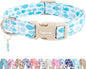 Faygarsle Fish Pattern Dog Collar, Adjustable with Buckle, Blue and White, Summer Design for Small Medium Large Dogs XS