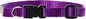 LupinePet Basics 1/2" Purple 10-16" Adjustable Collar for Small Dogs