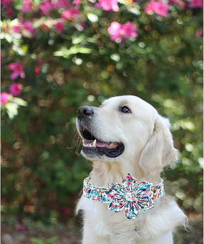 Lionheart Glory Floral Dog Collar - Soft, Durable & Adjustable for Large Dogs