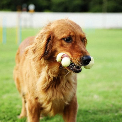 Tikaton Dog Chew Toys for Aggressive Chewers, Peanut Butter Flavor Durable Dog Teething Chew Toys Bones for Large/Medium/Small Puppies