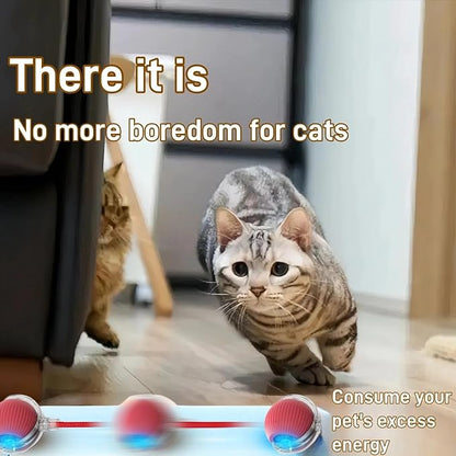 Interactive Cat Toys for Indoor Cats, Agility Move Cat Balls,Motion Activated Cat Balls, Cat Toys for Bored Indoor Cats(3 pcs Colors)