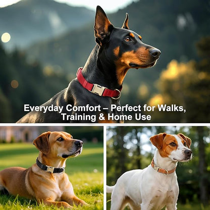 Plutus Pet Genuine Leather Dog Collar – Adjustable Pet Collar with Quick Release Metal Buckle, Soft Real Leather for Small Medium Large Dogs, Heavy Duty & Skin-Friendly (Copper Brown, M)