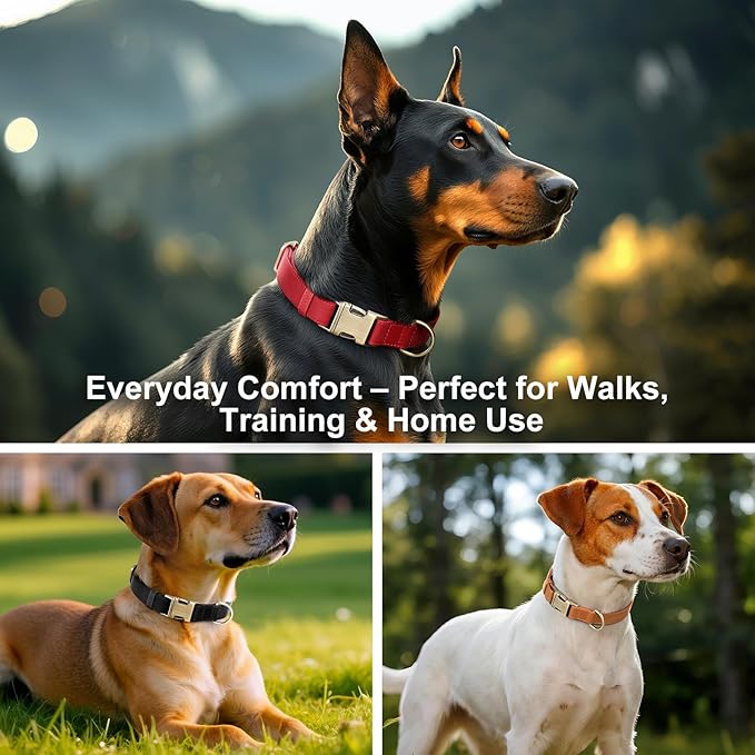 Plutus Pet Genuine Leather Dog Collar – Adjustable Pet Collar with Quick Release Metal Buckle, Soft Real Leather for Small Medium Large Dogs, Heavy Duty & Skin-Friendly (Red, M)