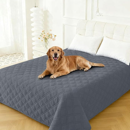 Waterproof Dog Bed Cover Pet Blanket, Soft Couch Cover for Dogs Washable, Non-Slip Dog Blanket Protect Furniture Couch Sofa Car for Puppy Large Dogs Cat (40x50 Inch, Dark Grey)
