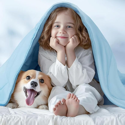 Luciphia Premium Cooling Dog Blanket for Small Medium Dogs Q-max>0.4 Washable Self-Cooling Cat Pet Mat Puppy Breathble Calming Throw for Beds Couches (Blue,29x40 inches)