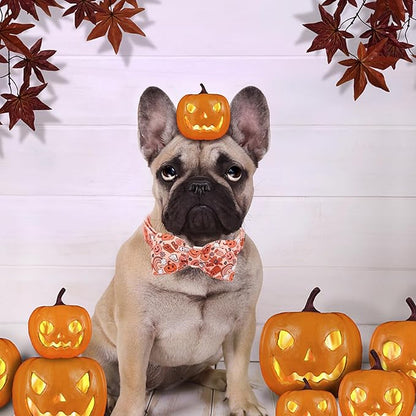 Halloween Dog Collar, Pet Collar Bow Pumpkin Pet Collar Girl Boy Holiday Pet Collars Gift Bow Dog Collar Cute Soft Puppy Collar for X-Large Dogs