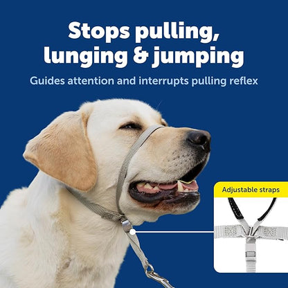 PetSafe Gentle Leader Headcollar No-Pull Dog Collar - Helps Improve Walks - Durable Nylon Construction - Padded Nose Loop - Adjustable Fit - Comfort Walking Halter - Petite, Black