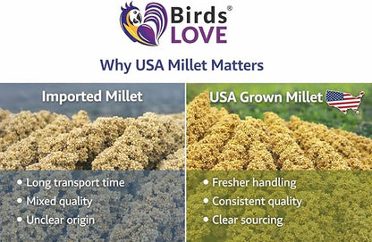 Birds LOVE Millet Tips & Tails for Birds - Parakeets, Cockatiels, Lovebirds, Finches, Budgies, Canaries, Cockatoos - Natural & Healthy Millet for Birds - Parakeet Food & Treats for All Parrots, 1lb