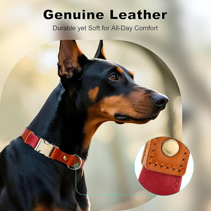 Plutus Pet Genuine Leather & Hemp Dog Collar – Adjustable Heavy Duty Pet Collar with Quick Release Metal Buckle, Soft & Stylish for Puppy and Small, Medium, Large Dogs (Red, M)