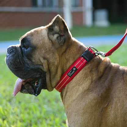 EXCELLENT ELITE SPANKER Reflective Dog Collar Classic Soft Padded Breathable Nylon Adjustable Pet Collar with Quick Release Buckle for Boy Girl Male Female Small Medium Large Dogs Training(Black-XL)