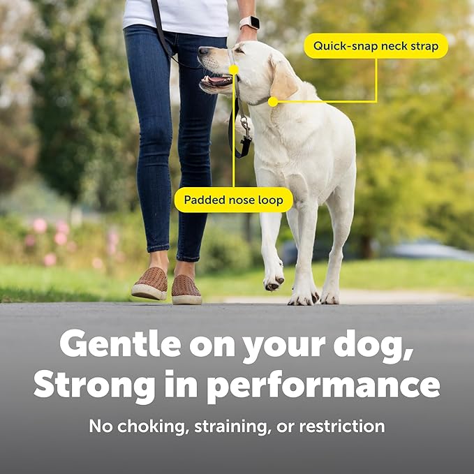 PetSafe Gentle Leader Headcollar No-Pull Dog Collar - Helps Improve Walks - Durable Nylon Construction - Padded Nose Loop - Adjustable Fit - Comfort Walking Halter - Medium, Red