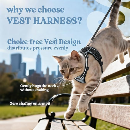 rabbitgoo Cat Harness and Leash for Walking, Escape Proof Soft Adjustable Vest Harnesses for Cats, Easy Control Breathable Reflective Strips Jacket, Doodle Gray,XS