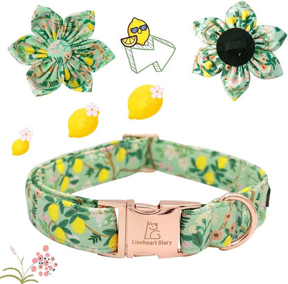Lionheart Glory Dog Collar, Dog Collar with Flower, Cute Lemon Floral Pattern Pet Collar Adjustable Dog Collar for Large Dogs