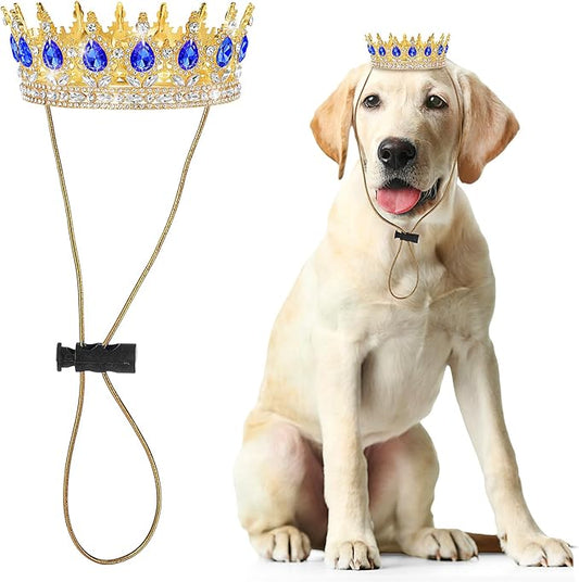Abbylike Pet Rhinestone King Crown, Queen Crown for Birthday New Year Costume for Small Dog Cat Cosplay Party Accessories Adoption Celebration Wedding Birthday Photos Prop Costume(Blue,Large)