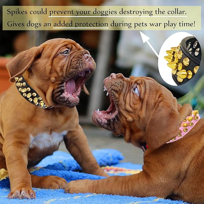 TEEMERRYCA Black Leather Dog Collar with Gold Spikes for Small Medium Large Pets,Pit Bulls/Bulldog, Keep Dog Safe from Grabbing by Huge Dogs,XXL(19.7"-22.4")