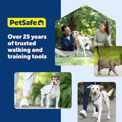 PetSafe KeepSafe Collar for Dogs - Protects Against Collar Accidents - Long Lasting - Durable - Adjustable - Breakaway - Outdoor-Safe - Medium - 1 In. Wide - Blue