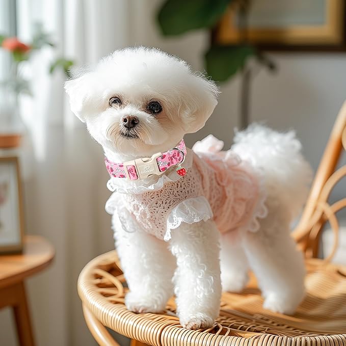 Strawberry Bow Dog Collar for Medium Dogs - Cute Pink Spring/Summer Girl Dog Collars, Lightweight Adjustable Female Girly Dogs Collars with Quick Release Buckle M