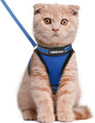 rabbitgoo Cat Harness and Leash Set for Walking Escape Proof, Adjustable Soft Kittens Vest with Reflective Strip for Cats, Comfortable Outdoor Vest,Blue,L