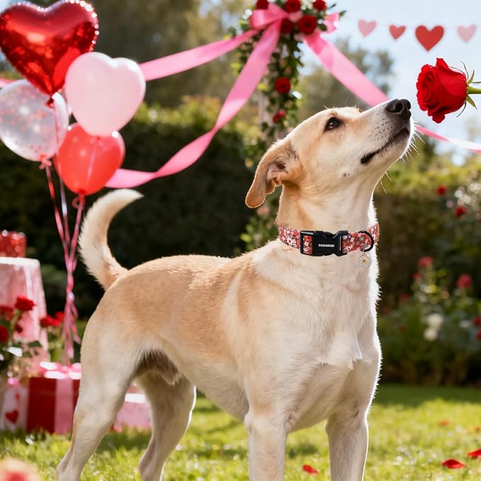 DOGWONG Red Flower Dog Collar, Cute Adjustable Floral Collar, Girl Female Dog Collar with Strong Plastic Buckle for Small Medium Large Dogs,XL