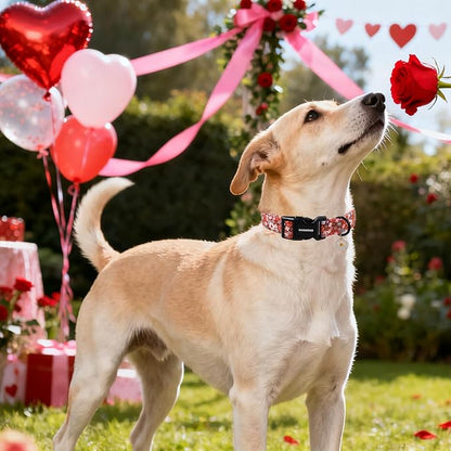 DOGWONG Red Flower Dog Collar, Cute Adjustable Floral Collar, Girl Female Dog Collar with Strong Plastic Buckle for Small Medium Large Dogs,XL