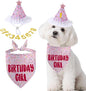 Dog Birthday Bandana Set, Light Pink Birthday Girl Decorations, HBD Party Supplies with Hat Bandana Numbers for Pets (Light Pink)