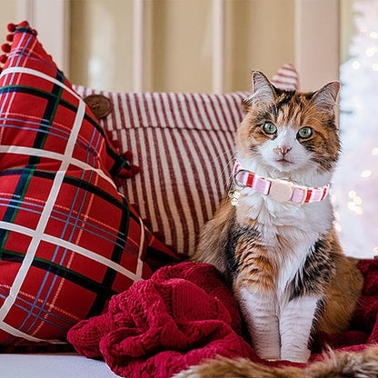 Elegant little tail 2 Pack Cat Collar-Pink Strip Cotton Breakaway Cat Collars with Bell Pendant Kitten Girl Cats Safety Adjustable Collar for Small Cats Puppy