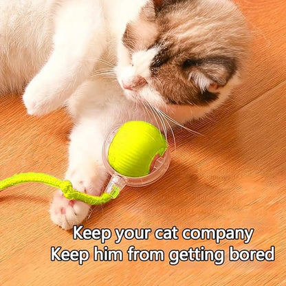 Automatic Interactive Rolling Cats Dog Toys Ball for Indoor- Rechargeable Activate Interactive Dog Pet Toy for Indoor, Self-Playing Automatic Moving Kitten Toys for Cats