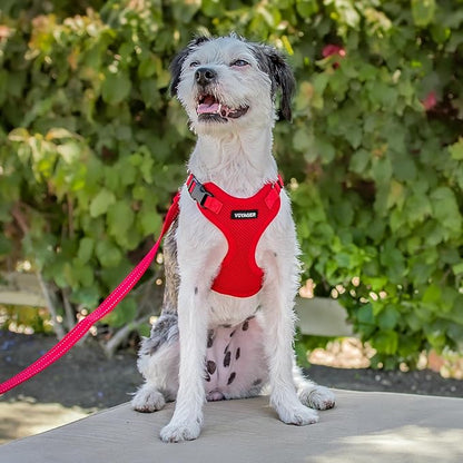 Voyager Step-in Pet Harness - All Weather Mesh, Adjustable Step in Harness for Cats and Dogs by Best Pet Supplies - Red, S