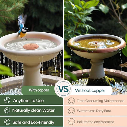 QIANQIAN Bird Bath Copper Disk, Copper Bird Bath Purification Disk (2, Copper)