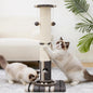 34inches Cat Scratching Post Sisal Cat Scratcher with Cat Ball Track Toy Heavy Duty and Thicker Large Diameter Natural for Adult Cats and Kitty Protect Your Furniture（Grey）