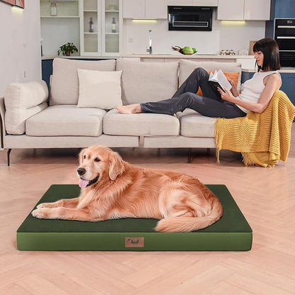 Large Comfy Washable Dog Bed, Orthopedic Egg Crate Foam Dog Crate Mat for Large Dogs with Removable Cover, 41x27 Inch, Olive Green