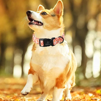 Fall Dog Collar, Cute Football Pattern Puppy Collar, Orange Adjustable Cotton Holiday Tanksgiving Dog Collars for Small Medium Large Boy&Girl Dogs L