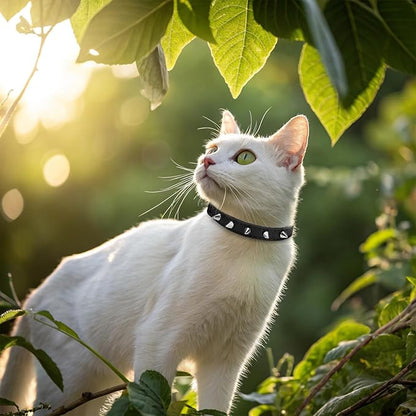 EXPAWLORER Leather Cat Collar for Girl Boy- Adjustable Pet Collar with Safety Elastic Belt,Personalized Punk Accessories Buckle Collars with Bell & Durable D-Ring,Pure Rivets(Black)
