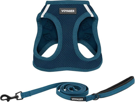 Best Pet Supplies Voyager Step-in Air All Weather Mesh Harness and Reflective Dog 5 ft Leash Combo with Neoprene Handle, for Small, Medium and Large Breed Puppies - Set (Blue), XXS