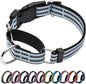 Martingale Dog Collar, Adjustable Nylon Reflective Collar with Quick Release Buckle (Ice Blue, Medium)