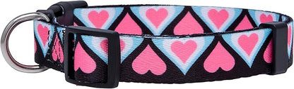 Native Pup Valentine’s Dog Collar- Valentines Day Pet Collars- Valentine Girly Hearts- Pink Red Heart- Cute Boy Girl Puppy Gift- Adjustable for Small, Medium, Large Breeds (Blue & Pink Hearts, Medium)