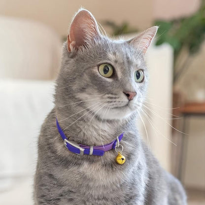 CollarDirect Leather Cat Collar with Bell - Kitten Collar, Small and Big Cat Collar for Boy Cats, Girl Cats with Safety Elastic Strap (Neck Fit 8"-11", Purple)