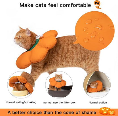 Cat Cone Collar,Cute Waterproof Recovery Collar,Anti-Bite Lick Wound Healing Safety Elizabethan e Collar for Cats,Orange Pumpkin Cat Halloween Costume