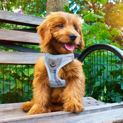 PUPTECK Adjustable Dog Harness Collar and Leash Set Step in No Pull Pet Harness for Small Medium Dogs Puppy and Cats Outdoor Walking Running, Soft Mesh Padded Reflective Vest Harnesses, Blue XXS