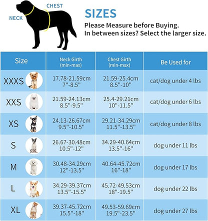 AIITLE Escape Proof Dog Harness - Step in Adjustable Dog Harness No Choke Over with Breathable Mesh and Quick-Release Buckle for All Weather- Outdoor Walking, Training for Medium Dogs Pure Blue XL