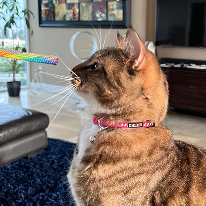 Pawtitas Personalized Teal Reflective Cat Collar – Adjustable Custom Collar with Safety Buckle, Removable Bell, and Engraved Name & Phone Number for Kittens and Adult Cats