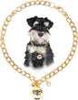 HOWWFALY Dog Collar and Cat Chain Necklace Stainless Steel Adjustable 18K Gold Heart-Shaped Necklace for Small Pets Cats Kitten Puppy (Gold, 14 inch)