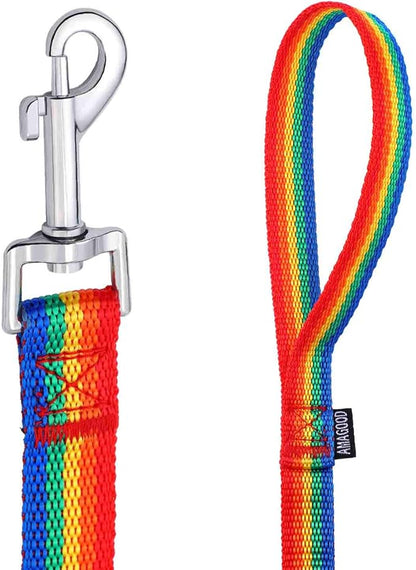 AmaGood Dog/Puppy Obedience Recall Training Agility Lead-15 ft 20 ft 30 ft 50 ft Long Leash-for Dog Training,Recall,Play,Safety,Camping (20feet, Rainbow)