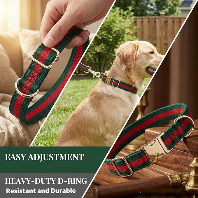 Premium Dog Collar, Cute Dog Collars Luxury Style, Durable Pet Collars and Dog Leash with Metal Buckle Safety for Medium Dogs