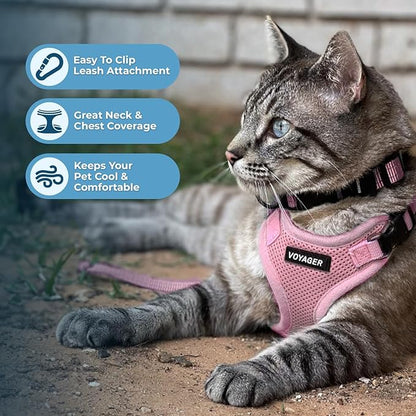 Voyager Step-in Lock Adjustable Cat Harness w. Cat Leash Combo Set with Neoprene Handle 5ft - Supports Small, Medium and Large Breed Cats by Best Pet Supplies - Pink, S (Pack of 2)