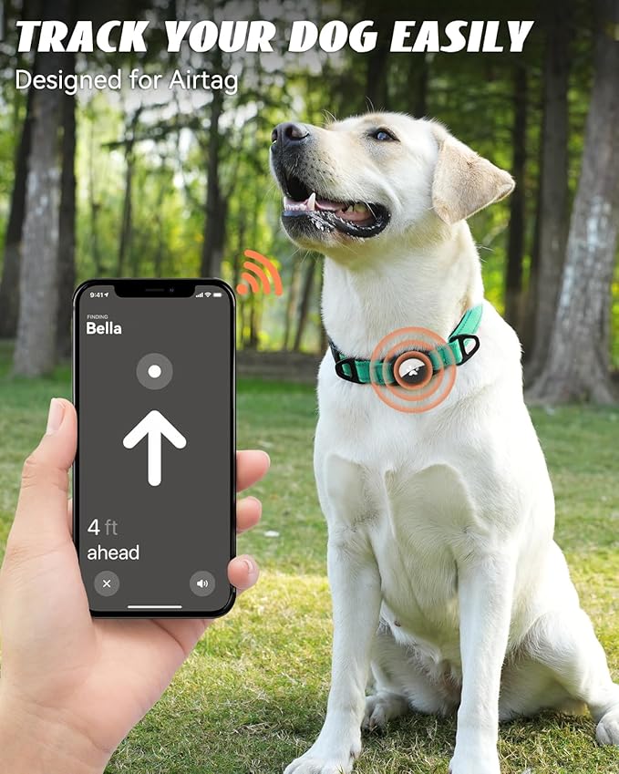 Joytale Airtag Dog Collar, Reflective Pet Collar with Waterproof AirTag Holder, Dual D-Rings, Soft Padded Adjustable for Medium Dogs, Teal, M