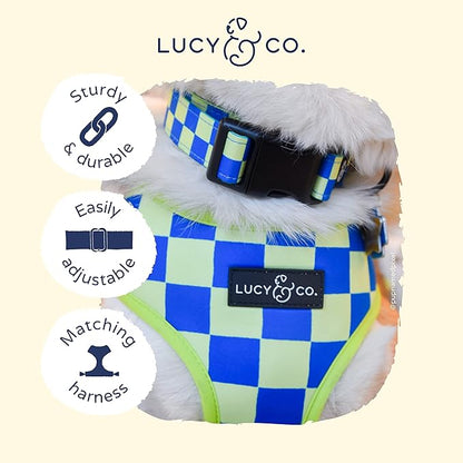 Lucy & Co. Have a Nice Day Dog Collar - Durable Lightweight Designer Collar for Pets - Adjustable Metal Safety Buckle - Lime Green Blue Checker - Medium